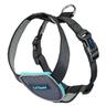 CarSafe Pettorina per cani, nera - XS: 40 - 52 cm circ. torace