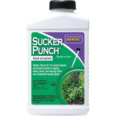 Bonide 276 Sucker Punch Sprout Control, Ready To Use, 8 Oz