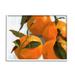 Stupell Industries Traditional Tabletop Oranges Still Life Realistic Painting Oversized Wall Plaque Art By Victoria Barnes in Brown | Wayfair