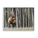 Stupell Industries Elk Looming Out Birch Trees Animal Forest Photograph Oversized Black Framed Giclee Texturized Art By Danita Delimont /Canvas | Wayfair