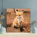 Loon Peak® A Brown Fox w/ Black Legs - 1 Piece Square Graphic Art Print On Wrapped Canvas in Black/Brown | 16 H x 16 W x 2 D in | Wayfair