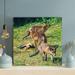 Loon Peak® Brown & White Fox On Green Grass During Daytime 9 - 1 Piece Square Graphic Art Print On Wrapped Canvas in Brown/Green | Wayfair