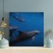 Rosecliff Heights Black & White Shark Underwater 1 - Wrapped Canvas Painting Canvas in Black/Blue | 16 H x 16 W x 2 D in | Wayfair