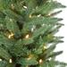 9-Ft. Winter Falls Slim-Silhouette Christmas Tree with 8-Function Multi-Color LED Lighting, Music, and EZ Connect - Fraser Hill Farm FFWF090-6GR
