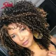 Perruque Afro Brésilienne Naturelle Crépue et Bouclée Cheveux Courts et Élégants 100% Remy 100%