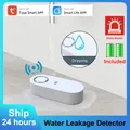 Tuya WiFi goutte à goutte détecteur de fuite d'eau 120DB bip sirène sol détecteur de fuite d'eau