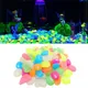 Pierres Fluorescentes Brillantes dans le Noir pour Aquarium Poissons Précieux Jardin Pelouse