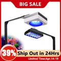 PopBloom – lampe Led pour Aquarium d'eau salée eclairage aquarium led rampe led aquarium éclairage