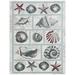 Home Dynamix Marine Sea Shells Coastal Starfish Indoor/Outdoor Area Rug