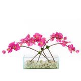 Jenny Silks Orchid Floral Arrangement in Vase Faux Silk in Pink/Red | 12 H x 25 W x 10 D in | Wayfair F-183