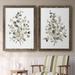 Gracie Oaks Neutral Eucalyptus I-Premium Framed Canvas - Ready To Hang Canvas, Solid Wood in Brown/Gray/White | 36.5 H x 53 W x 1.5 D in | Wayfair