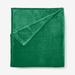 BH Studio Microfleece Blanket by BH Studio in Emerald (Size FL/QUE)