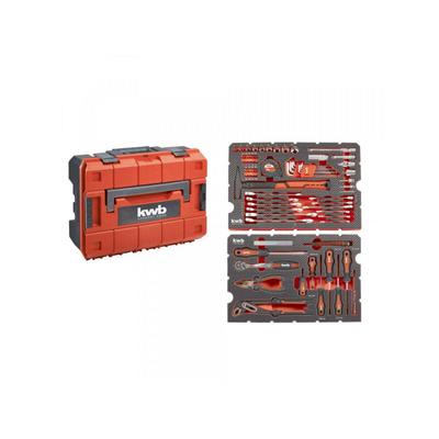 Werkzeugkoffer/Werkzeug-Set, 80-teilig im E-Case, gefüllt, gepolstert mit Werkzeugeinlagen u. Sc