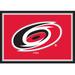 Imperial Carolina Hurricanes 2'8" x 3'10" Area Rug