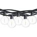 Arlmont & Co. Junell Bulbrite 14-foot String Light Kit w/ Clear Shatter Resistant LED Light Bulbs in Black | 168 W in | Wayfair