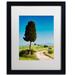 Trademark Fine Art 'Stroll on Farm Road' Framed Photographic Print on Canvas Canvas | 20 H x 16 W x 0.75 D in | Wayfair ALI3826-B1620MF