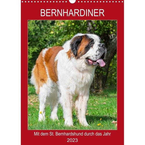 Bernhardiner - Mit dem St. Bernhardshund durch das Jahr (Wandkalender 2023 DIN A3 hoch)