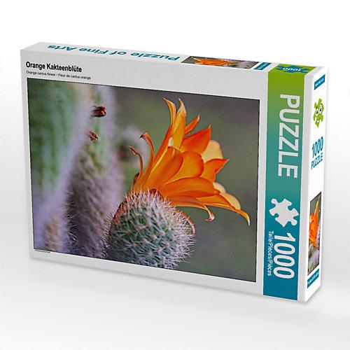 Puzzle CALVENDO Puzzle Orange Kakteenblüte - 1000 Teile Foto-Puzzle glückliche Stunden Kinder