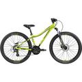 GENESIS Herren Mountainbike Genesis Evolution JR26 Disc, Größe 34 in Grün