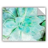 Bungalow Rose Jeanetta Teal Succulent 1 Removable Wall Decal Vinyl in Blue/White | 36 H x 48 W in | Wayfair 796A93FB39F740D295EFC63115177411