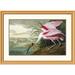 Global Gallery Roseate Spoonbill by John James Audubon Framed Painting Print Metal | 28.9 H x 1.5 D in | Wayfair DPF-265883-30-102