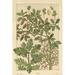 Gracie Oaks Oak Tree Canvas | 12 H x 8 W x 1.25 D in | Wayfair 821030165D064AAC8F4DB9EFBBE6B8EC