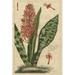 Rosalind Wheeler Botanical Study On Linen I Canvas | 30 H x 20 W x 1.25 D in | Wayfair 7527D34BE6EA4A7DAEF6A834664E86F3