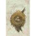 Rosalind Wheeler Nest - Sparrow Canvas | 30 H x 20 W x 1.25 D in | Wayfair B31D3FC6A9604DCA9DCC2B05020C7640