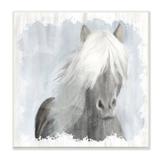 Stupell Industries Dreamy White Mane Horse Rustic Farmland by Kim Allen - Painting Wood in Brown | 12 H x 12 W x 1.5 D in | Wayfair al-077_wd_12x12