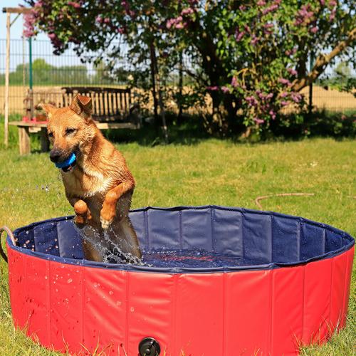 Faltbarer Hundepool, Schwimmbecken für Hunde, Hundebad, Größe s (80 cm Durchmesser / Höhe 20 cm)