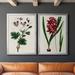 Red Barrel Studio® Antique Floral Folio IX Premium Framed Canvas - Ready To Hang Canvas, in Green/Red | 41.25 H x 61 W x 1.25 D in | Wayfair