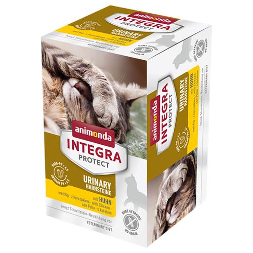 6x 100g Integra Protect Adult Urinary Struvitstein Schale mit Huhn animonda Katzenfutter nass