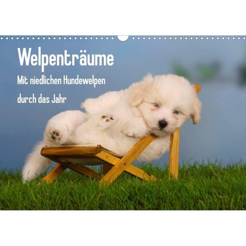Welpenträume - Mit Niedlichen Hundewelpen Durch Das Jahr (Wandkalender 2023 Din A3 Quer)