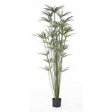 Primrue 60" Artificial Foliage Plant in Pot Polyester/Plastic | 65 H x 22 W x 22 D in | Wayfair 68C05AE4FA8A4CB6B58B7F58BA10D4D2