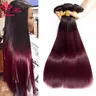Queen Hair #1B/99J Ombre color 100% Human Hair Bundles 1B 99J Straight Hair Bundles Brazilian Hair