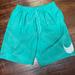 Nike Swim | Nike Men’s Swim Trunks | Color: Green | Size: Xl