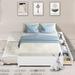 Latitude Run® Modern Bed w/ Trundle Bed & Storage Drawers, Full Wood in White | 15.66 H x 57 W x 79.5 D in | Wayfair