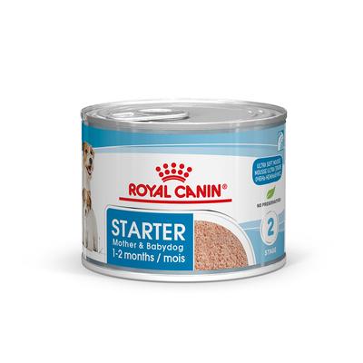 24x195g Royal Canin Starter Mousse Mother & Babydog Nassfutter Hund