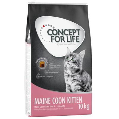 10 kg Maine Coon Kitten Concept for Life Trockenfutter für Kätzchen