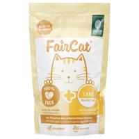 faircat care