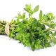 Herb Plants - 'English Thyme' - 6 x Plug Plant Pack