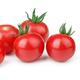 Tomato Plants - 'Tumbling Tom Red' - 3 x Large Plants in Pots