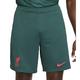 NIKE FC Liverpool, Herren Shorts, Saison 2022/23 Offizielle Drittes Trikot Kit