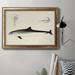 Rosecliff Heights Antique Dolphin Study II - Picture Frame Graphic Art on Canvas Canvas, Solid Wood in Black | 18 H x 27 W x 2.5 D in | Wayfair