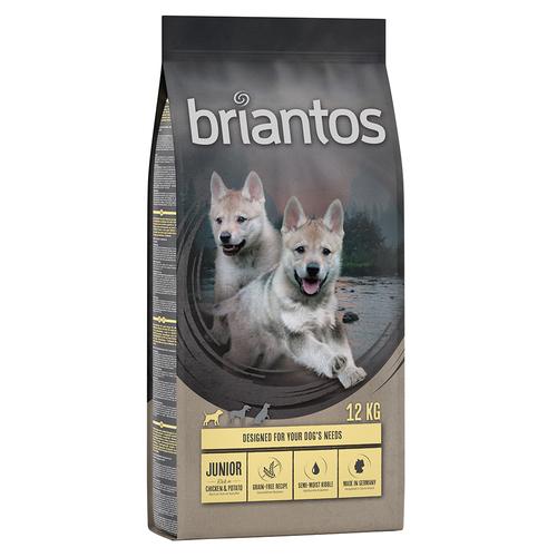 2 x 12 kg Briantos Junior Trockenfutter für Hunde: Huhn & Kartoffel (getreidefrei)