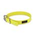 Yellow Play Buckle Dog Collar, Small/Medium