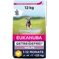 Eukanuba Welpenfutter getreidefrei mit Huhn für kleine und mittelgroße Rassen - Trockenfutter ohne Getreide für Junior Hunde, 12 kg