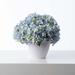 Primrue Hydrangea Bouquet Floral Arrangement in Vase Silk in Blue, Size 9.0 H x 10.0 W x 10.0 D in | Wayfair DC081C7F0CDA4B07B754E6E486E4F9BA