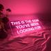 Trinx This is The Sign You've Been Looking For 24" LED Neon Sign in Pink | 24 H x 10 W x 1 D in | Wayfair ED42C366945C40E9B96339795F43C0CC