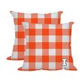 Illinois Fighting Illini 2-Pack Buffalo Check Plaid Outdoor Pillow Set